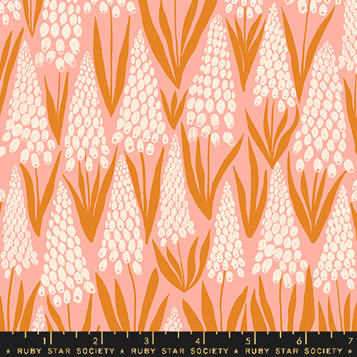 Jen Hewett - Endpaper- Muscari in bashful