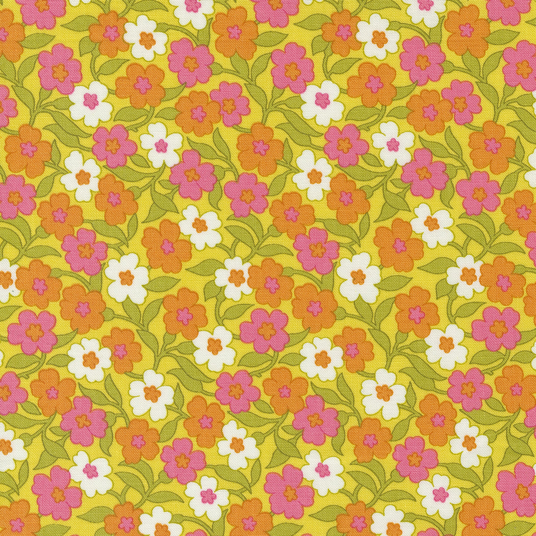 Flower Power - Primrose on yellow